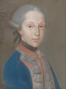 Portret van een Jonge Man in Uniform