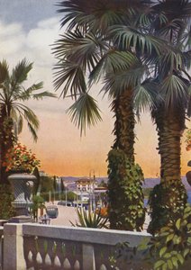 Abbazia, nu Opatija in Kroatië: Zicht op palmen vanaf Hotel Bellevue