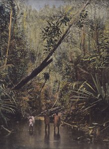 Oerbos, oostkant