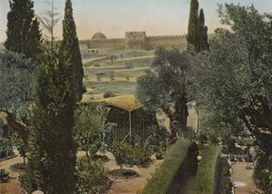 Tuin van Getsemane door European Photographer