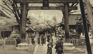 Japan, Straat in Tokio, tijd van de kersenbloesem door European Photographer