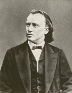 Johannes Brahms, portret, ca. 1876 door European Photographer