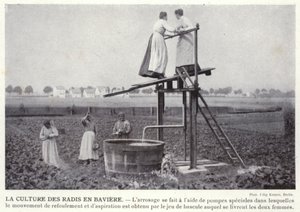 De Radijsteelt in Beieren door European Photographer