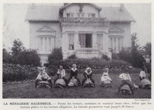 De Hagenbeck Menagerie