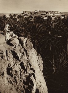Nefta Oasis