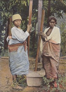 Rijststampers