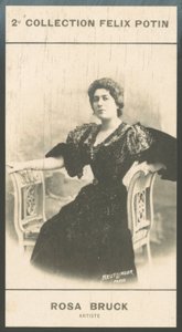 Rosa Bruck, Kunstenaar