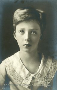 De Hertog van Brabant, Prins Leopold van België door European Photographer
