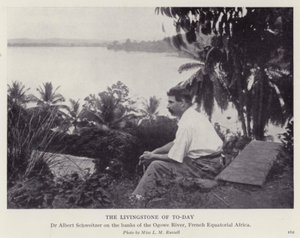 De Livingstone van vandaag door European Photographer