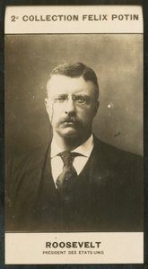 Theodore Roosevelt, President van de Verenigde Staten