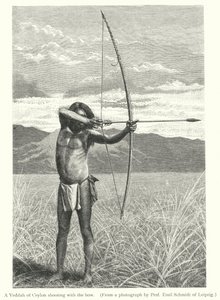 Een Veddah van Ceylon die met de boog schiet (gravure) door European School
