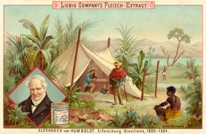 Expeditie van Alexander von Humboldt naar Zuid-Amerika, 1800-1804 door European School