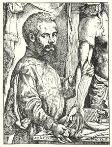 Andreas Vesalius door European School