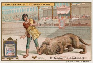 Androcles en de leeuw door European School