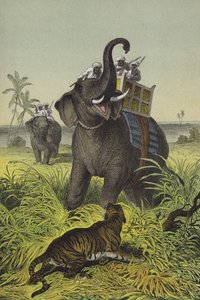Dieren en planten van India