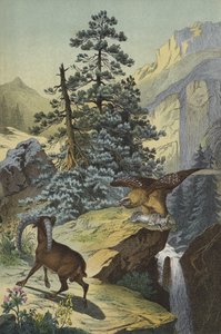 Dieren en planten van de Alpen (kleur litho) door European School