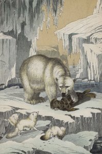 Dieren van de regio van de Noordpool door European School