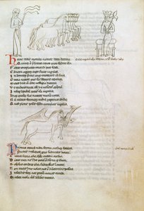 Bestiarium: het paard door European School