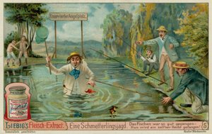 Vlinders vangen en vissers door European School