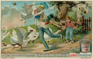 Vlinders vangen en ganzen door European School