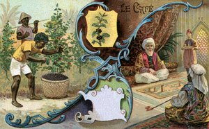 Koffie, 1899