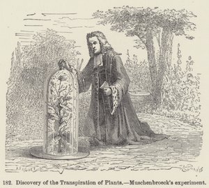 Ontdekking van de Transpiratie van Planten, Muschenbroeck