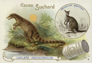 Dryptosaurus en kangoeroe