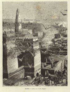 Egypte - Dorp in Opper-Egypte