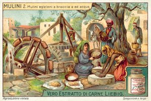 Egyptische hand- en watergedreven molens door European School