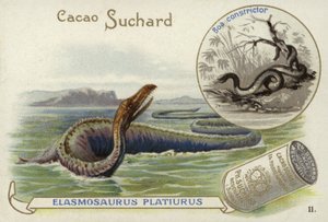 Elasmosaurus en boa constrictor door European School
