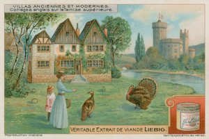 Engelse cottages aan de Boven-Theems