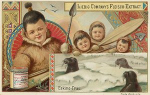 Eskimo door European School