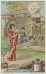 Waaiers in Japan door European School