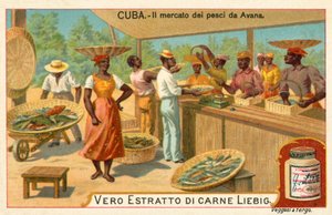 Vismarkt van Havana, Cuba door European School