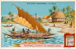 Vissen, Caroline-eilanden