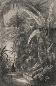 Grande Serre Du Museum De Paris (gravure) door European School