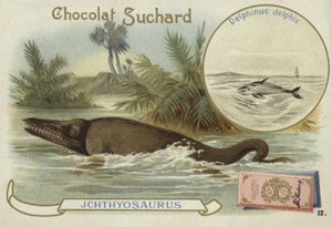 Ichthyosaurus en gewone dolfijn door European School
