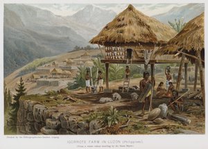 Igorrote Boerderij in Luzon, Filipijnen (chromolitho)
