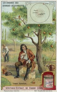 Isaac Newton en de zwaartekracht door European School