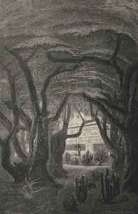 Jardins De Netzahuatlcoyotzin (gravure)