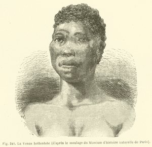 De Venus hottentot, volgens de mal van het Museum voor Natuurgeschiedenis van Parijs door European School