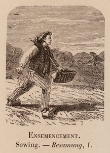 Le Vocabulaire Illustre: Ensemencement; Zaaien; Besamung