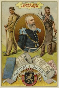 Leopold II, Koning der Belgen