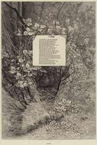 Gepaarde (gravure)