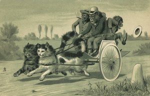 Apen die een koets trekken, getrokken door twee katten door European School