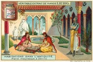 Moors patio in Sevilla door European School
