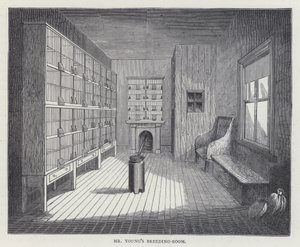De broedkamer van meneer Young