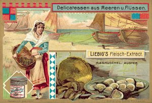 Mosselen en oesters door European School