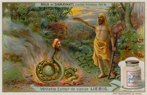 Nala redt de slang Naga Karkotaka