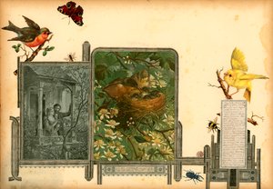 Pagina uit Sammelsurium Deel I (gedrukt materiaal) door European School